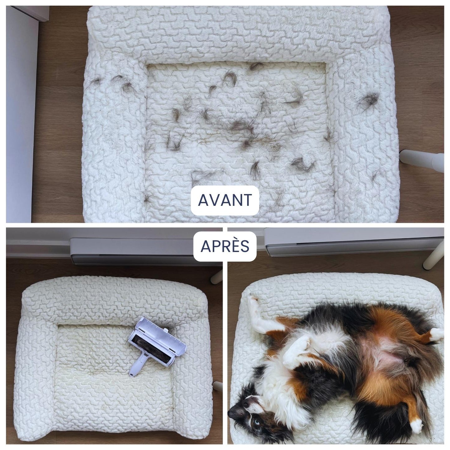 Barkli - Rouleau enlève poils d'animaux