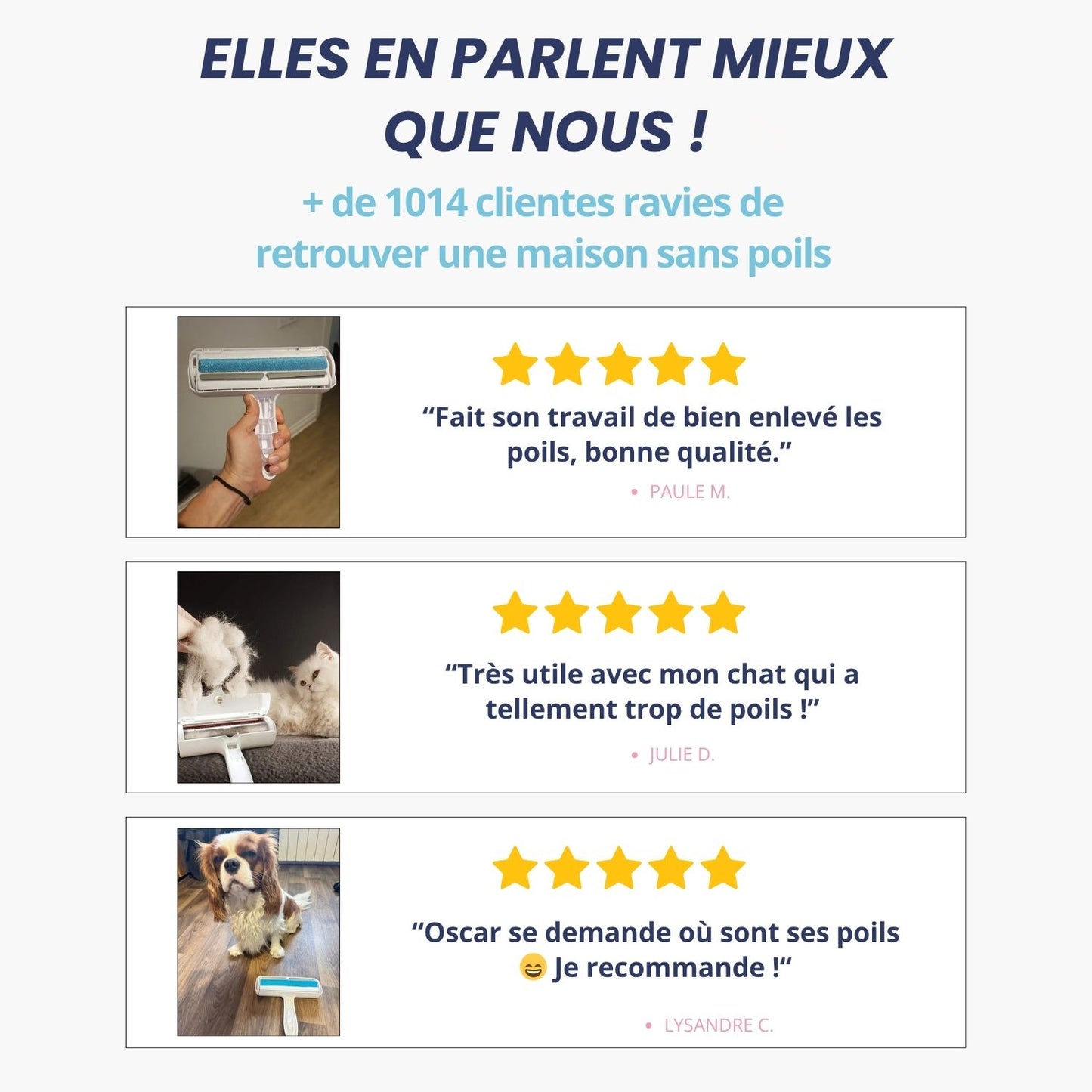 Barkli - Rouleau enlève poils d'animaux